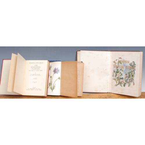 2871 - Natural History, Botany – Miller (Thomas), Common Wayside Flowers, London, Routledge, Warne & Routle... 