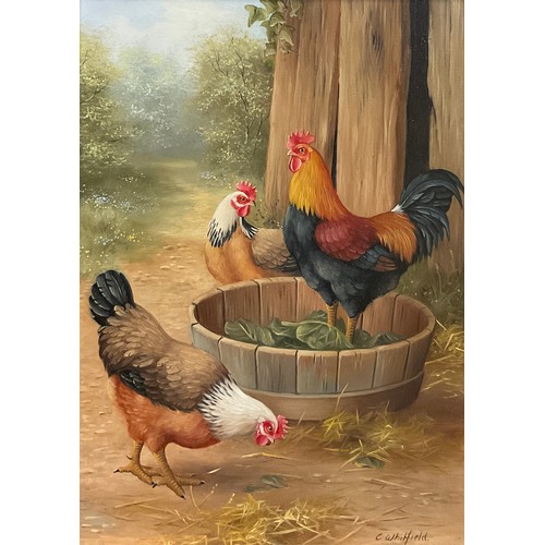 971 - Carl Whitfield (Bn.1959)
A Pair, Farmyard with Cockerels
signed, acrylics on board, 17.5cm x 12.5cm,... 