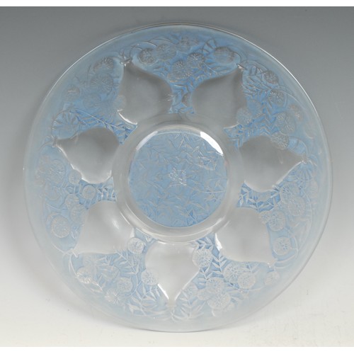 323 - A Rene Lalique charger, engraved to verso with chrysanthemums, sky blue flashed, 27cm diameter, engr... 