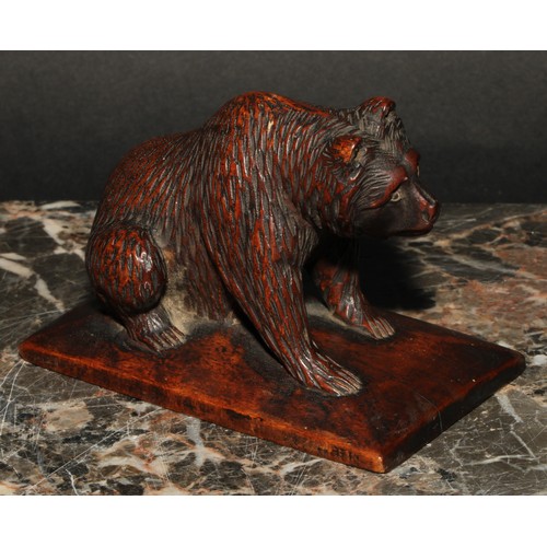 1275 - A Black Forest desk model, carved as a bear, seated on a rectangular base, his head tilted questioni... 