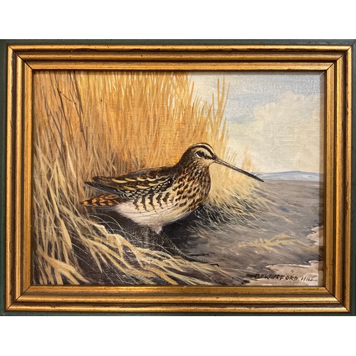 964 - Berrisford Hill, a pair, Woodcock, and Snipe, signed, oils on canvas, each measuring 15cm x 20cm, (2... 