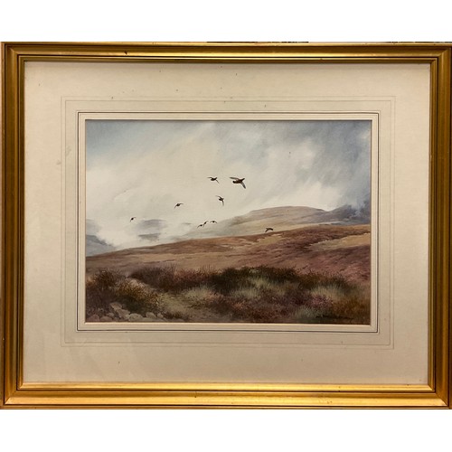 982 - Berrisford Hill (British, 20th century), Red Grouse over the Moor, Perthshire, signed, watercolour, ... 