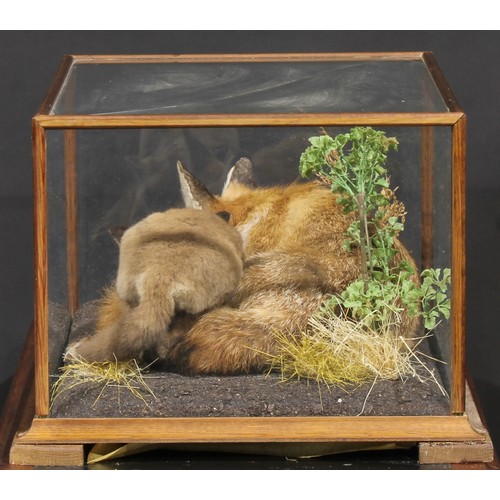 2225 - Taxidermy - a vixen fox and kit, naturalistically mounted, pine case, 33.5cm high, 66cm wide, 46cm d... 