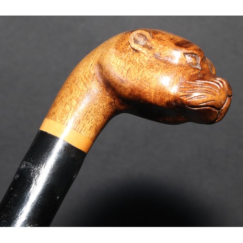 2215 - A novelty walking stick or cane, the hardwood pommel carved as the head of an otter, 89cm long