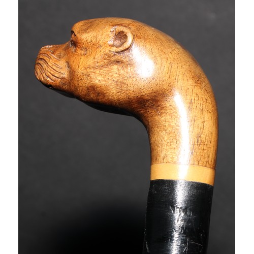 2215 - A novelty walking stick or cane, the hardwood pommel carved as the head of an otter, 89cm long