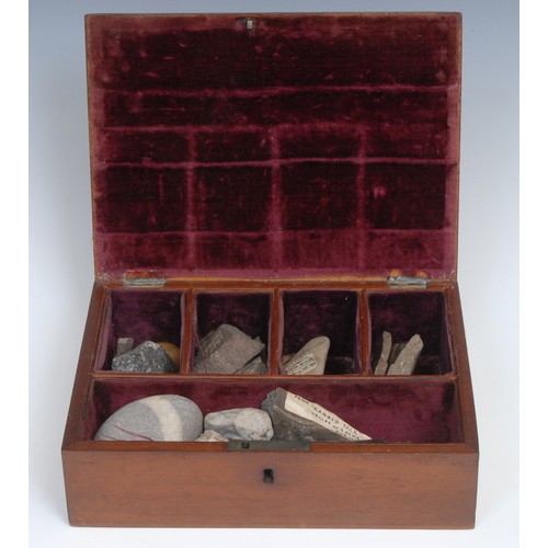 2331 - A 19th century mahogany collector's box, the hinged cover enclosing an arrangement of geological spe... 