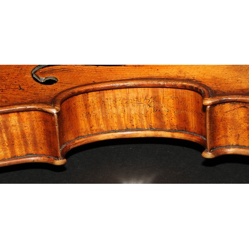 2561 - A violin, the two-piece back 35.5cm long excluding button, paper label printed Joseph Guarnerius, ro... 