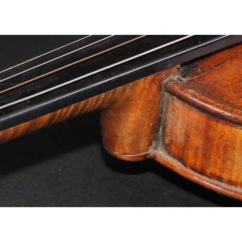 2558 - A violin, the one piece back 35.5cm long excluding button, ebonised tuning pegs, outlined throughout... 