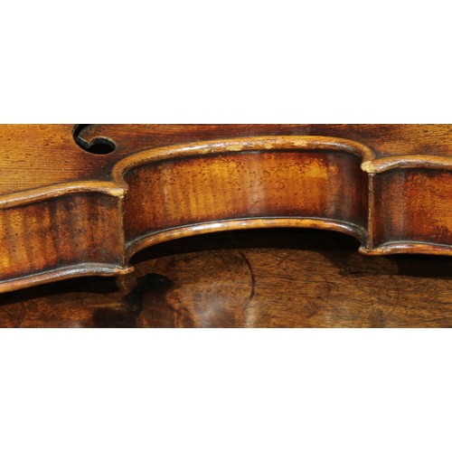 2559 - A violin, the one-piece back 35.5cm long excluding button, ebony tuning pegs, 60cm long overall, the... 