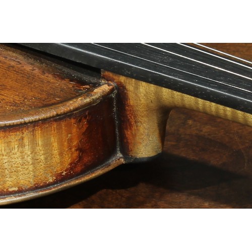 2559 - A violin, the one-piece back 35.5cm long excluding button, ebony tuning pegs, 60cm long overall, the... 