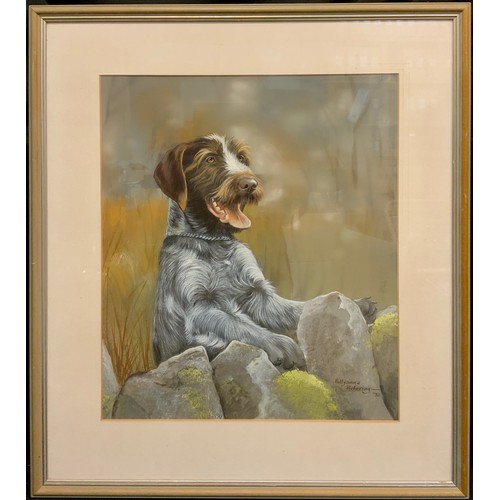 1135 - Pollyanna Pickering  (1942-2018) Wire Haired Terrier signed, dated 92, watercolour, 44cm x 39cm