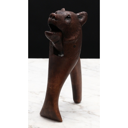 2268 - Nutcrackers - a Black Forest novelty lever-action nut cracker, carved as the head of a bear, glass e... 