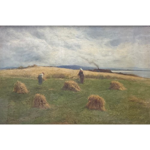 1155 - George Aikman (19th century)
harvest scene with cottage and estuary,
signed, oil on canvas, 49cm x 7... 