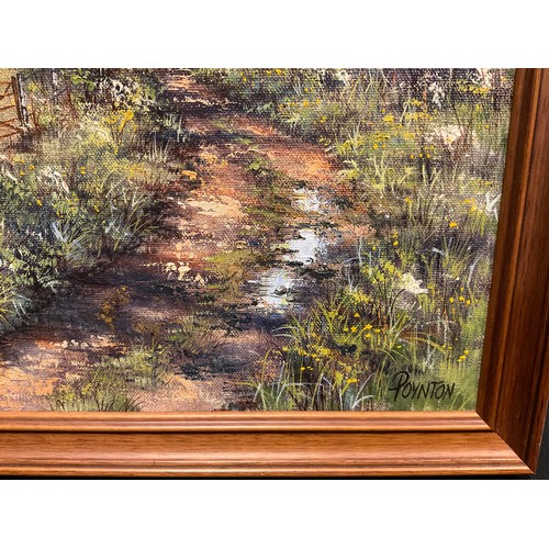 1019 - Deborah Poynton, A country track, signed, oil on canvas, 36cm x 46cm