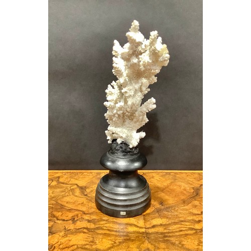 1868 - Natural History - a coral specimen, mounted for display, 23cm high