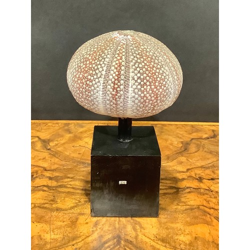 2342 - Natural History - a sea urchin, mounted for display, 16cm high