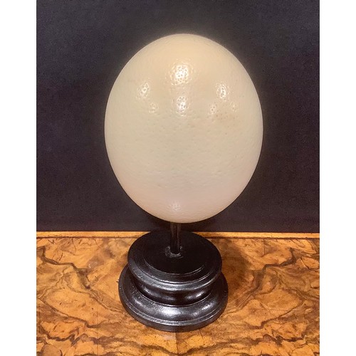 2346 - Natural History - an ostrich egg, mounted for display, 24cm high overall