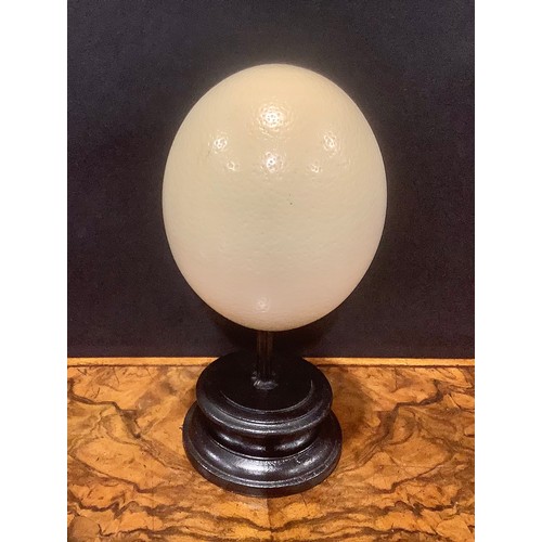 2346 - Natural History - an ostrich egg, mounted for display, 24cm high overall