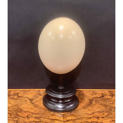 2346 - Natural History - an ostrich egg, mounted for display, 24cm high overall