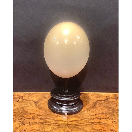 2346 - Natural History - an ostrich egg, mounted for display, 24cm high overall