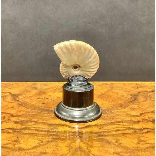 2373 - Natural History - Palaeontology - a pearly ammonite fossil, mounted for display, 10cm high overall