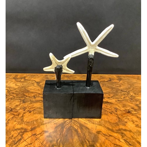 2344 - Natural History - a starfish specimen, mounted for display, 19cm high overall; another (2)