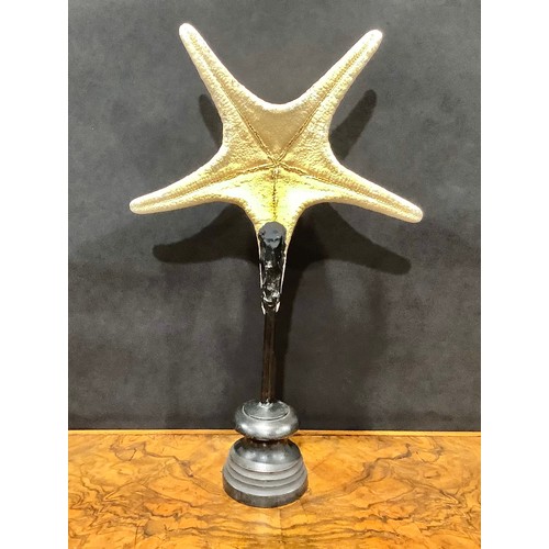 2339 - Natural History - a large starfish specimen, mounted for display, 40cm high overall