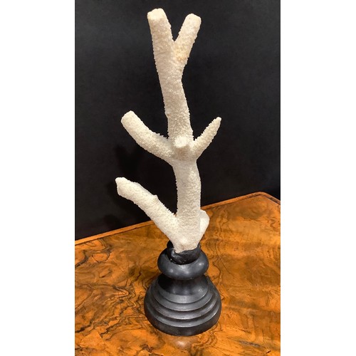 2336 - Natural History - a branch coral specimen, mounted for display, 27cm high overall