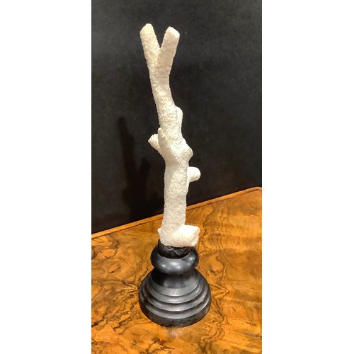 2336 - Natural History - a branch coral specimen, mounted for display, 27cm high overall