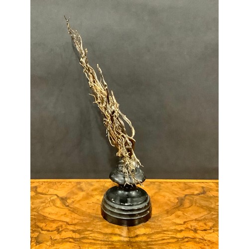 2335 - Natural History - a black coral specimen, mounted for display, 26cm high