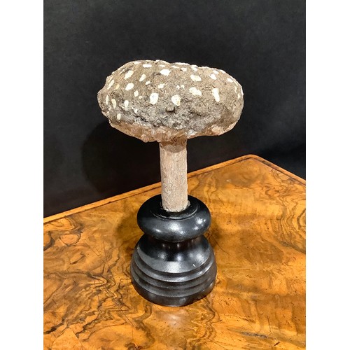 2363 - Natural History - Mycology - a painted model of fungus specimen, mounted for display, 18cm high