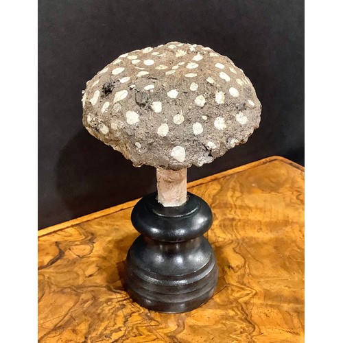 2363 - Natural History - Mycology - a painted model of fungus specimen, mounted for display, 18cm high