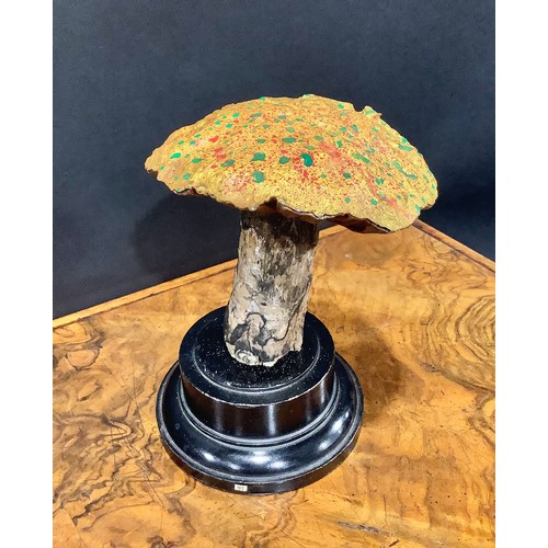 2361 - Natural History - Mycology - a painted model of fungus specimen, mounted for display, 17cm high