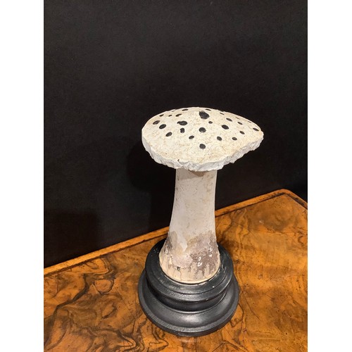 2364 - Natural History - Mycology - a painted model of fungus specimen, mounted for display, 20cm high