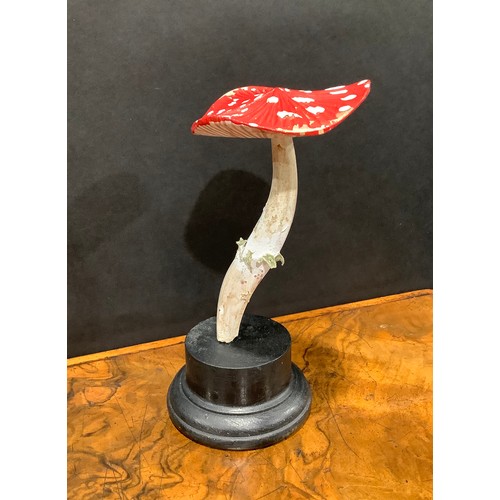 2362 - Natural History - Mycology - a painted model of fungus specimen, mounted for display, 18.5cm high