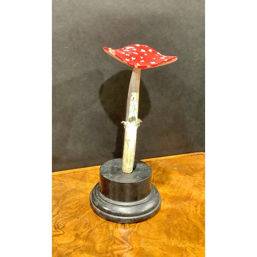 2362 - Natural History - Mycology - a painted model of fungus specimen, mounted for display, 18.5cm high