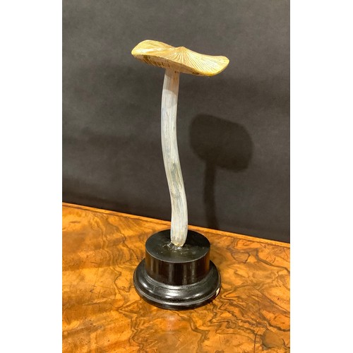 2369 - Natural History - Mycology - a painted model of fungus specimen, mounted for display, 23cm high