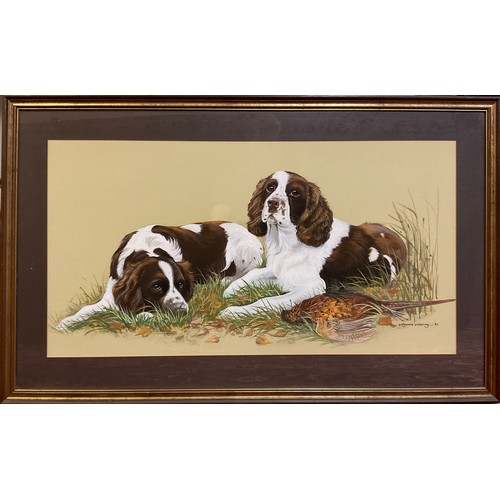 1136 - Polyanna Pickering (1942-2018), Springer Spaniels with Game, signed, watercolour and gouache, 44.5cm... 