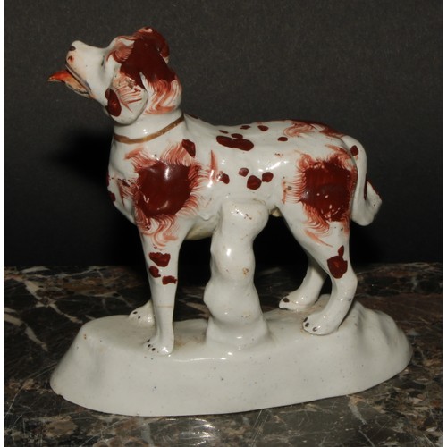115 - A 19th century Staffordshire model, of a panting spaniel, picked out in rust brown, gilt line collar... 