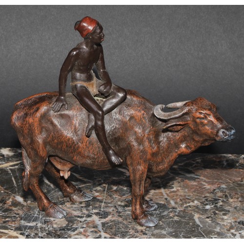 1641 - An Austrian cold painted bronze, of a North African boy riding an ox, 15cm long