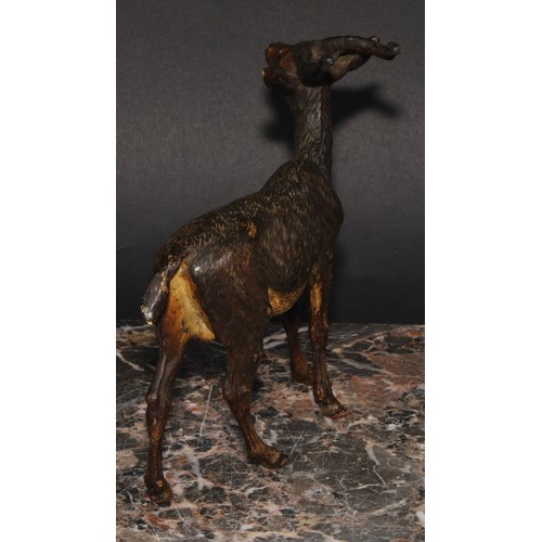 1501 - An Austrian cold painted bronze, of an antelope, possibly Bergmann, 15.5cm long, c.1900