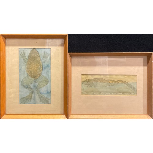 993 - English School (mid-20th century)
a pair, zoological studies, frogs in water
watercolour, the larges... 