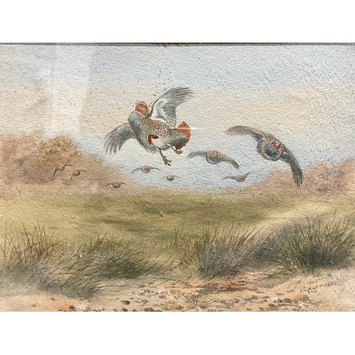 1039 - J. C. Harrison
Game Birds
signed, watercolour, 21cm x 28cm