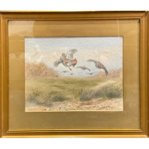 1039 - J. C. Harrison
Game Birds
signed, watercolour, 21cm x 28cm