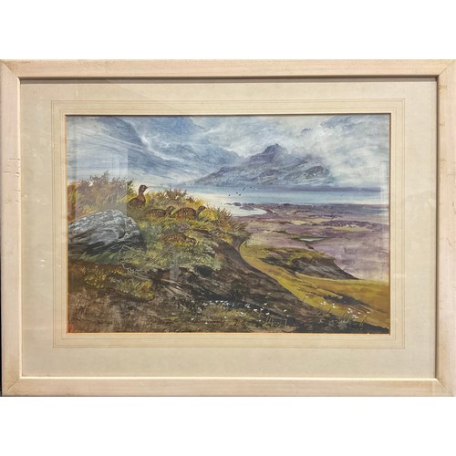 1034 - Iain Ross, Scottish (20th century)
Grouse on a Clifftop
signed, dated 76, watercolour, 39cm x 57cm