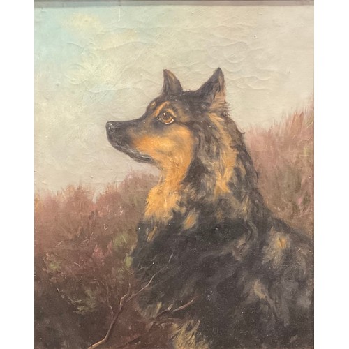 1070 - English School (19th century)
portrait of a dog
indistinctly signed with initials, oil on canvas, 49... 