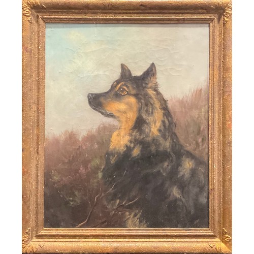 1070 - English School (19th century)
portrait of a dog
indistinctly signed with initials, oil on canvas, 49... 