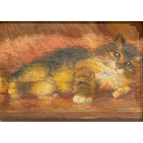 1109 - English School (20th century)
Kitten
oil on canvas laid on panel, 11.5cm x 17cm