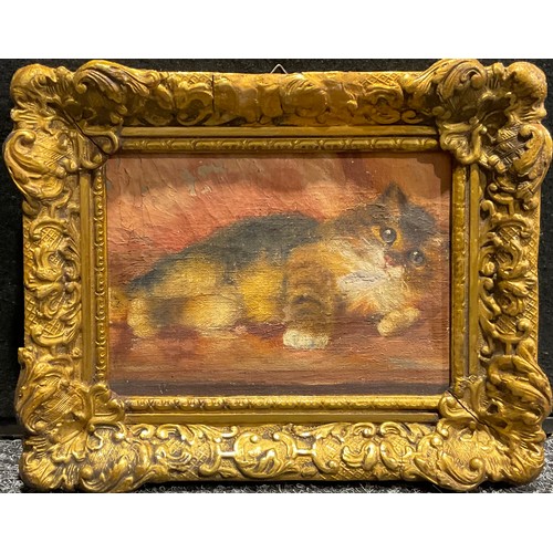 1109 - English School (20th century)
Kitten
oil on canvas laid on panel, 11.5cm x 17cm