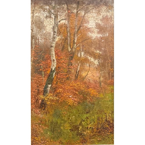 1115 - English School (early 20th century)
Silver Birches
oil on panel, inscribed to verso J McIntyre, 47.5... 